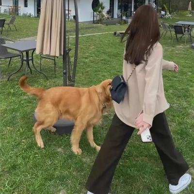 找新娘